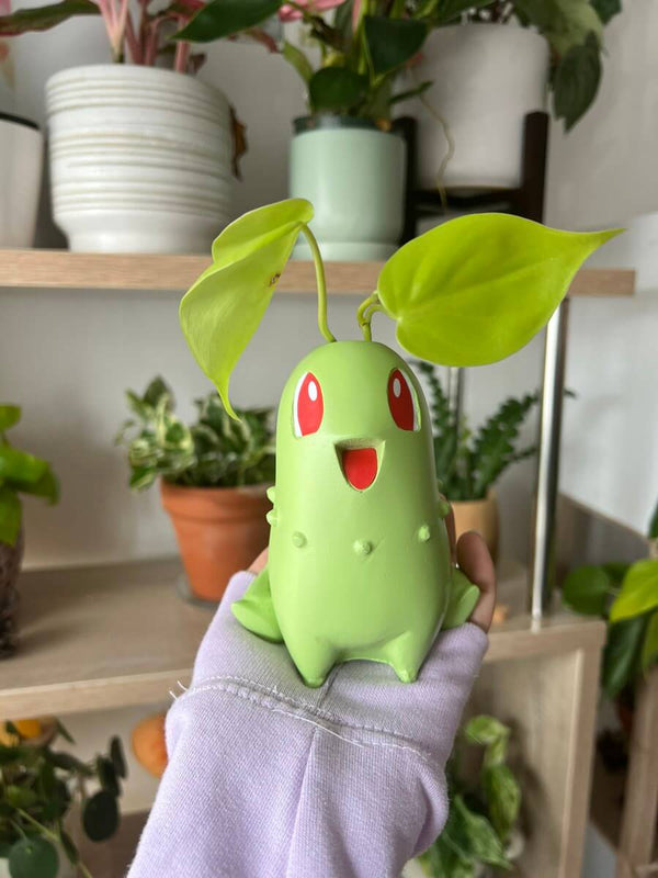 #LeafyCompanion #NatureNurturer #BotanicalBuddy #GreenGuardian #PlantPokémonPals #ChikoritaCharm #FloralFollower #SproutSovereign #PokémonPhotosynthesis #FoliageFriendship #VerdantVoyager #ChikoritaAdventures #LeafyLove #BotanyBond #GardenGuardianChikorita #PokémonPlantPower #ChikoritaWonderland #GrassTypeGlory