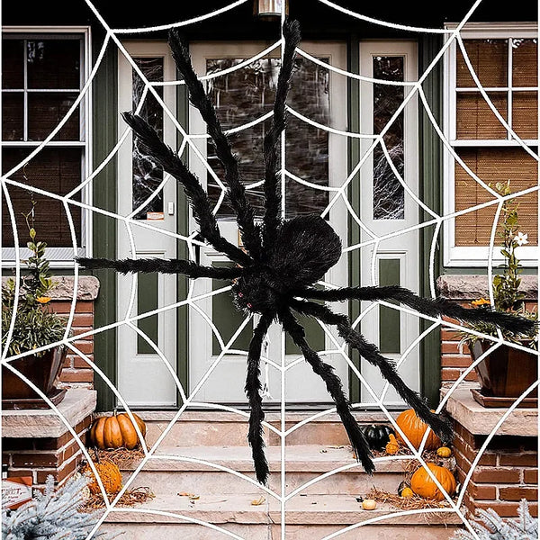 ARANHA - HALLOWEEN